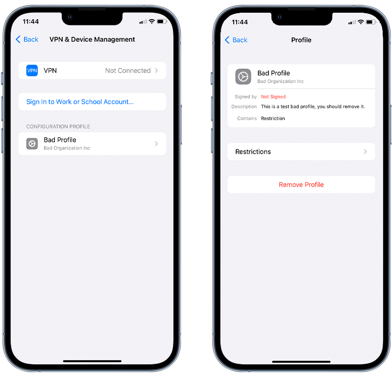 Deleting an unrecognized configuration profile for how to remove spyware from iPhone article